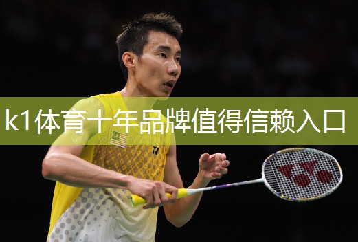 k1体育十年品牌值得信赖入口式乒乓球台